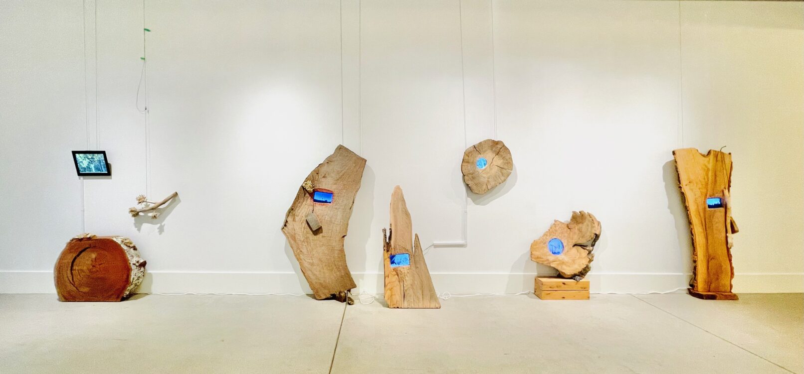 multi-media installation by artist Patricia Sannit